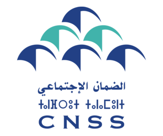 cnss logo